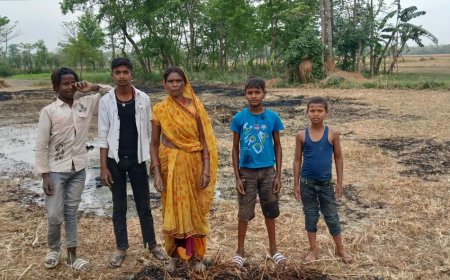 सीतामढ़ी :- आग लगने से एक एकड़ खेत के गेहूं जलकर हुई राख , किसान के घर में मची कोहराम