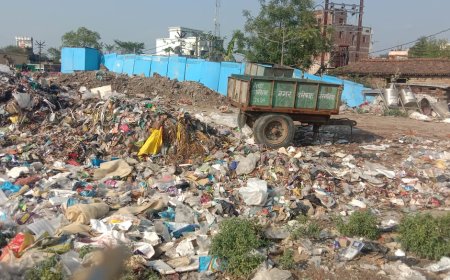 सीतामढ़ी :- बैरगनिया चेतना समिति के अध्यक्ष द्वारा नगर परिषद के साफ सफाई निविदा में भ्रष्टाचार का आरोप, जांच की मांग