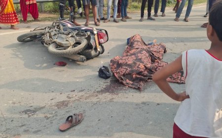 सीतामढी :- अज्ञात ट्रक की ठोकर से 36 वर्षीय राजा राम पासवान की मौत