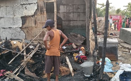 सीतामढ़ी :- जिले के जनकपुर रोड पुपरी के परसौनी गांव में भीषण अग्निकांड, दर्जनों घर जलकर राख