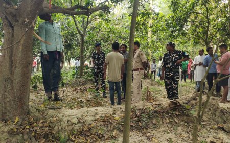 सीतामढ़ी :-सुरसंड के युवक का शव कन्हमां में पेड़ से लटका मिला, पुलिस जुटी जांच में