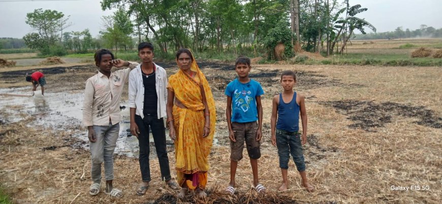 सीतामढ़ी :- आग लगने से एक एकड़ खेत के गेहूं जलकर हुई राख , किसान के घर में मची कोहराम