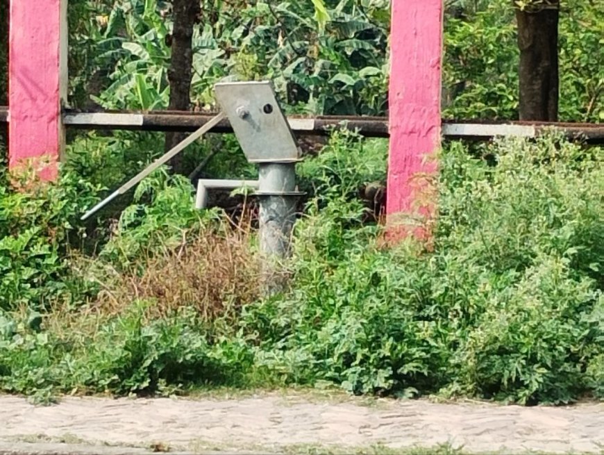 सीतामढ़ी :- विभागीय उदासीनता की भेंट चढ़ी भीसा हॉट रेलवे स्टेशन, प्रतिदिन यहां से ढाई से तीन हजार की बेचे जाते है यात्रा  टिकटे