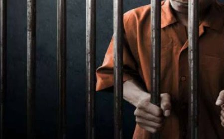 सीतामढ़ी :- दुष्कर्म के आरोपी सहित तीन गिरफ्तार भेजा गया जेल