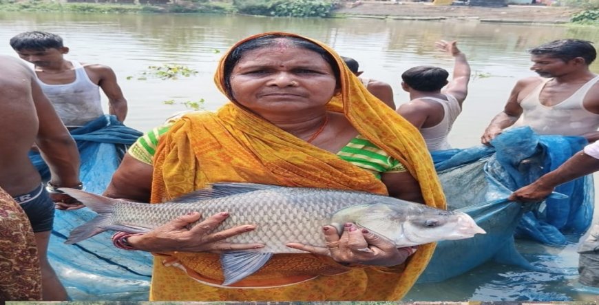 सीतामढ़ी :- सरकार के सहयोग से जीविका दीदियां कर रही हैं मछली पालन, आमदनी में हो रही है निरंतर वृद्धि