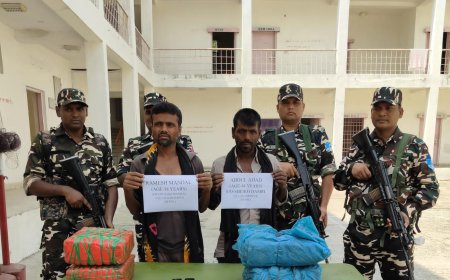 सीतामढ़ी :- भारत नेपाल बार्डर से भरी मात्रा में  गांजे के साथ दो तस्कर गिरफ्तार