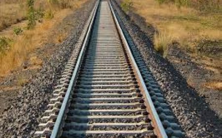 सीतामढ़ी :- सीतामढ़ी - निर्मली रेलखंड की उठी मांग, मिथिला रेलवे उपभोक्ता संघ के संयोजक संतोष कुमार शोले ने संसद देवेश चंद्र ठाकुर को सौंपा ज्ञापन