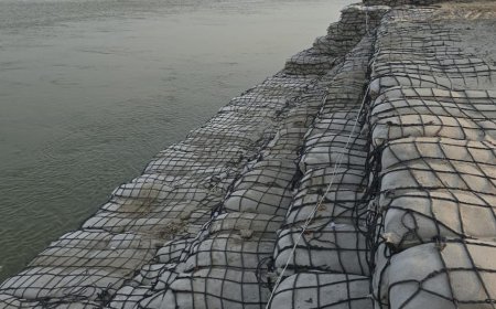 सीतामढ़ी :- बाढ़ पूर्व तैयारी: तटबंधों के सुरक्षार्थ मुजफ्फरपुर, सीतामढ़ी एवं शिवहर जिला में कुल 24 स्थलों पर कटाव निरोधक कार्य कराए गए