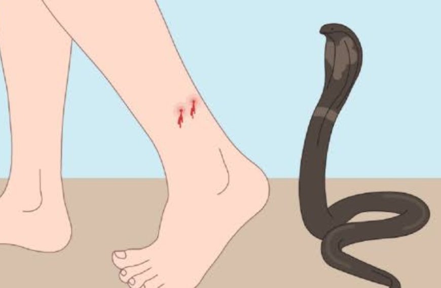 सीतामढ़ी :- सर्पदंश से बालक की मौत