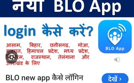 सीतामढ़ी :- बीएलओ एप पर एन्यूमरेशन फॉर्म अपलोड किया गया