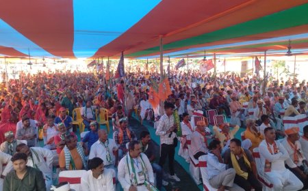 सीतामढ़ी :- एनडीए का विधानसभा स्तरीय सम्मेलन आयोजित