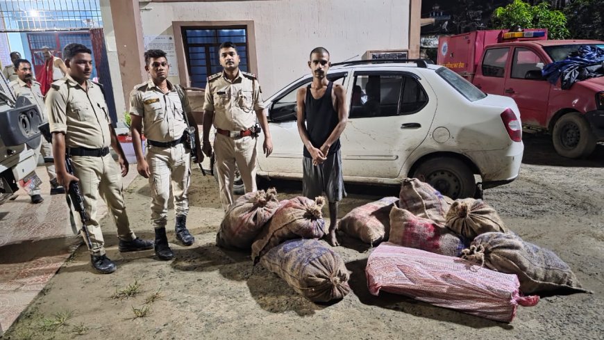 घोड़ासहन : पुलिस की बड़ी कार्रवाई, भसेडवा से नेपाली शराब की बड़ी खेप बरामद, कार के साथ एक गिरफ्तार