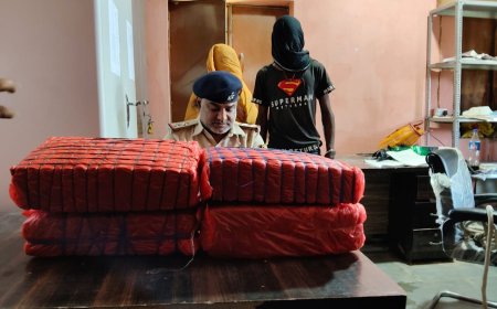 सीतामढ़ी :- भारी मात्रा में गांजा के साथ एक महिला एक पुरुष तस्कर गिरफ्तार,जेल