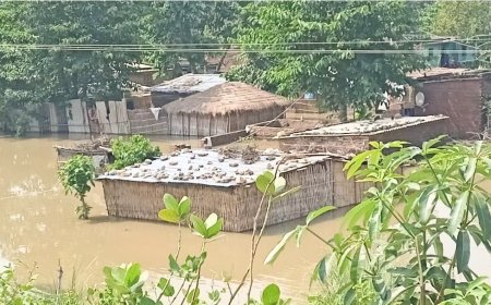 सुगौली: बाढ़ का कहर: डाक बंगला वार्ड डूबा, लोगों का पलायन जारी