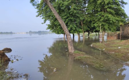 सुगौली: सिकरहना की बाढ़ ने छोड़ा गहरा जख्म — घटा जलस्तर, पर किसानों का दर्द बढ़ा