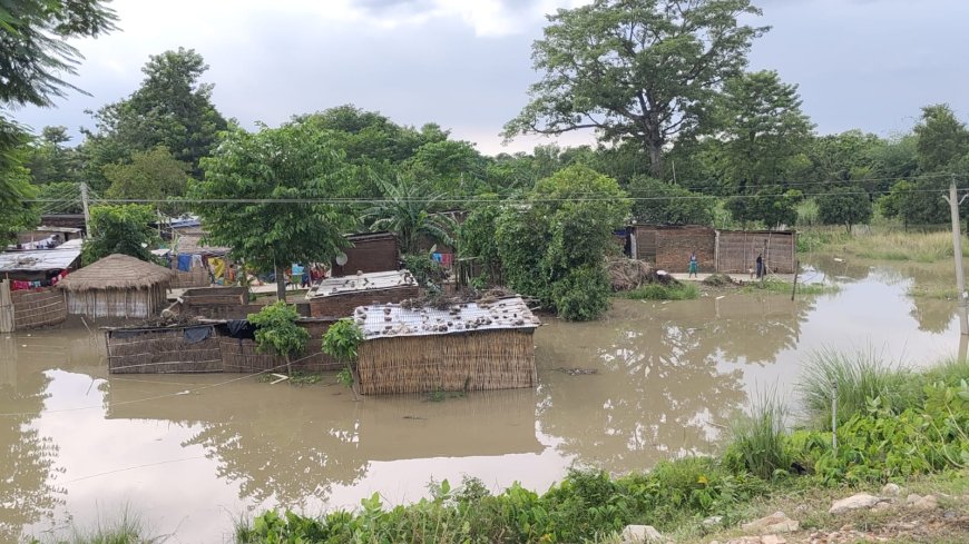 सुगौली: सिकरहना में उफान, खेत-खलिहान डूबे पानी में