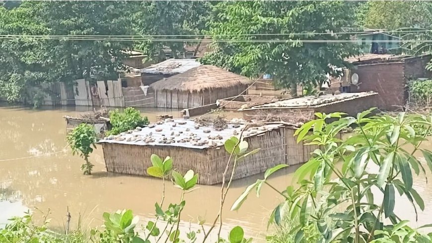 सुगौली: बाढ़ का कहर: डाक बंगला वार्ड डूबा, लोगों का पलायन जारी