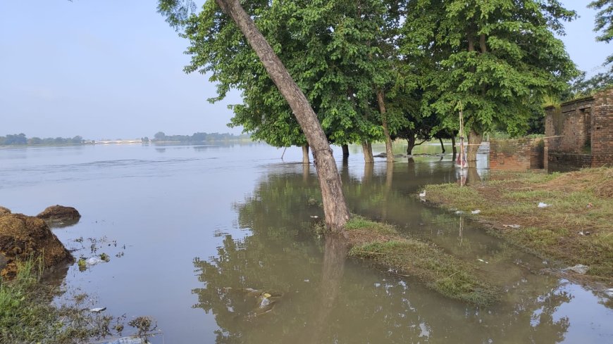 सुगौली: सिकरहना की बाढ़ ने छोड़ा गहरा जख्म — घटा जलस्तर, पर किसानों का दर्द बढ़ा