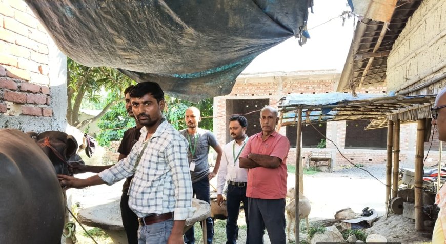 सीतामढ़ी :~ महुलिया और भुतही में पशु स्वास्थ्य जांच शिविर आयोजित, दर्जनों पशुओं का हुआ जांच और उपचार