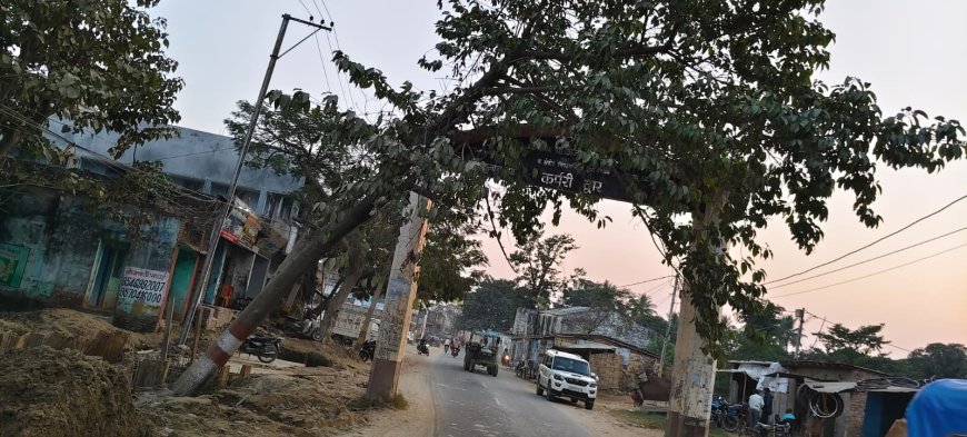 सीतामढ़ी ;- हादसे को दावत दे रहा है सड़क पर झुका कदम का पेड़, संबंधित विभाग लापरवाह