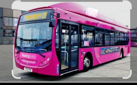 सीतामढ़ी :- महिलाओं और छात्राओं के सवारी के लिए जिला के दो प्रखंड को मिला दो सरकारी पिंक बस