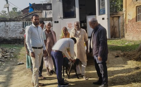 सीतामढ़ी :- मोबाइल पशु चिकित्सा इकाई ने लगाया निःशुल्क शिविर