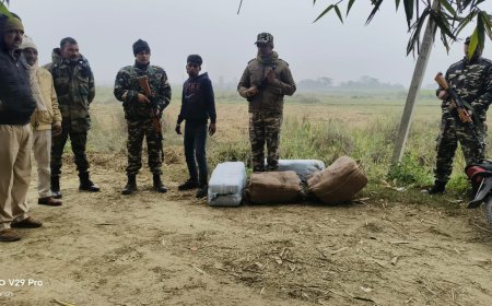 सीतामढ़ी :~ एसएसबी ने भारी मात्रा में नेपाली शराब सहित तस्कर को किया गिरफतार, बाइक जप्त