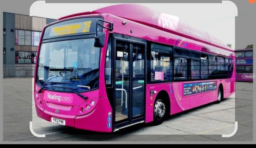 सीतामढ़ी :- महिलाओं और छात्राओं के सवारी के लिए जिला के दो प्रखंड को मिला दो सरकारी पिंक बस