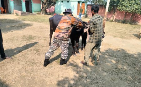 सीतामढ़ी :- एसएसबी द्वारा पशु चिकित्सा का एक निःशुल्क शिविर लगाया गया, लोग हुए लाभान्वित