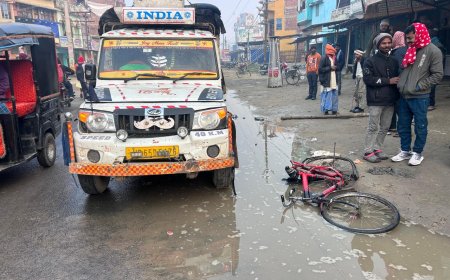 सीतामढ़ी :- मछली लदे बांगदली पिकअप वाहन ने मारा छात्र को धक्का, मौके पर हुईं छात्र की इह लीला समाप्त