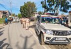 शांति व विधि-व्यवस्था बनाए रखने के लिए रामगढ़वा पुलिस ने निकाला फ्लैग मार्च, असामाजिक तत्वों को दी सख्त चेतावनी