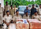 कुण्डवा चैनपुर : गांजा तस्करी पर पुलिस का बड़ा प्रहार, 54 किलो गांजा के साथ तीन तस्कर गिरफ्तार