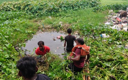 घोड़ासहन : गुदरी बाजार स्थित जलकुंभी से ढके पोखर में युवक के डूबने की आशंका, स्थानीय लोगो के सहयोग से दूसरे दिन भी जारी रहा एसडीआरएफ का सर्च ऑपरेशन
