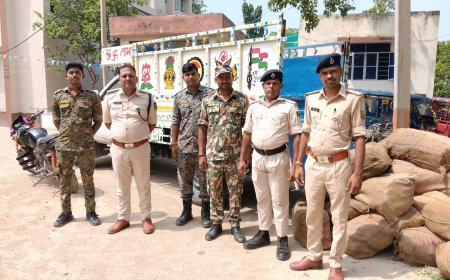 सीतामढ़ी :- भारी मात्रा में नेपाली देशी शौफी के साथ दो तस्कर गिरफ्तार