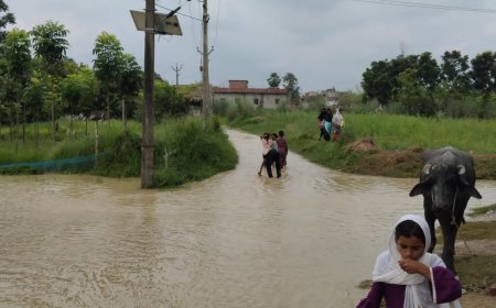 सीतामढ़ी :- नेपाल में बारिश से उफनाई मरहा-हरदी, भारतीय क्षेत्र के सड़क पर फैला बाढ़ का पानी