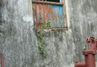 सीतामढ़ी:- चोरों की घटना ने बढ़ाई लोगो में बेचैनी, थाना जुटी जांच में, लोगो में आक्रोश