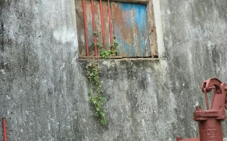 सीतामढ़ी:- चोरों की घटना ने बढ़ाई लोगो में बेचैनी, थाना जुटी जांच में, लोगो में आक्रोश