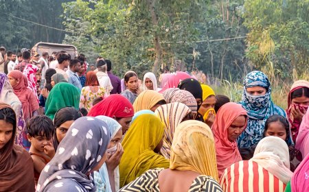 बैरगनिया : धान के खेत में मौत का करंट, पति-पत्नी समेत 3 की मौत, 3 झुलसे, दो जंगली सूअरों की भी गई जान